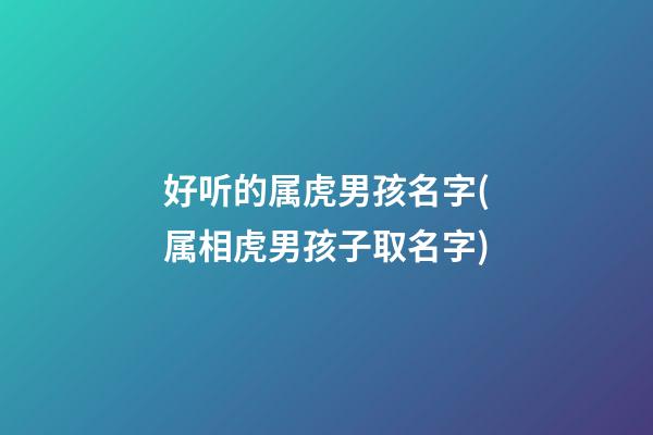 好听的属虎男孩名字(属相虎男孩子取名字)