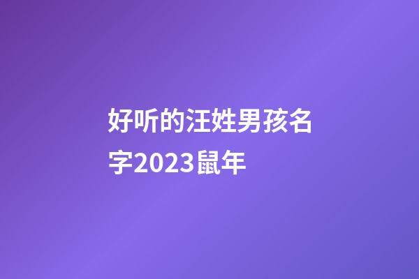 好听的汪姓男孩名字2023鼠年