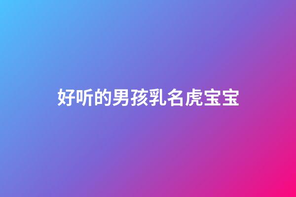 好听的男孩乳名虎宝宝(虎男宝宝小名简单好听)-第1张-男孩起名-玄机派