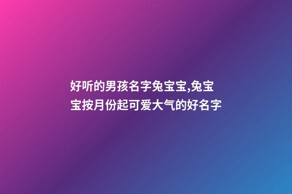 好听的男孩名字兔宝宝,兔宝宝按月份起可爱大气的好名字-第1张-观点-玄机派