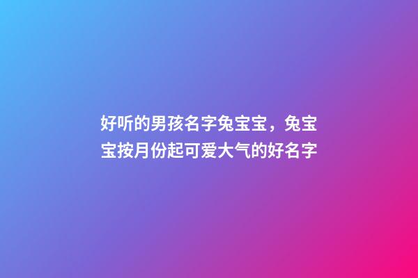 好听的男孩名字兔宝宝，兔宝宝按月份起可爱大气的好名字-第1张-观点-玄机派