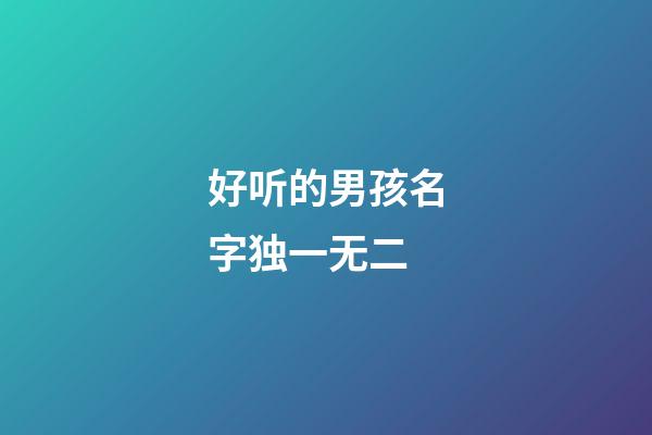 好听的男孩名字独一无二
