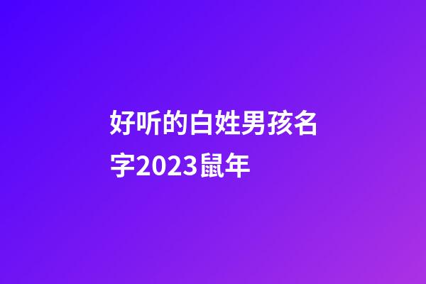 好听的白姓男孩名字2023鼠年