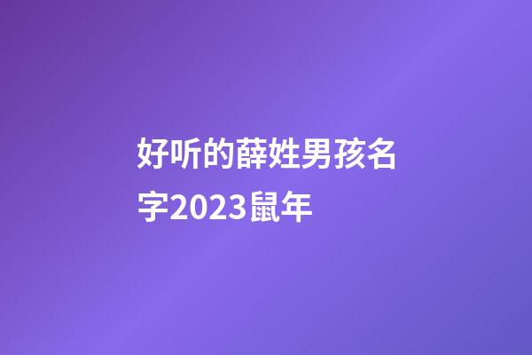 好听的薛姓男孩名字2023鼠年