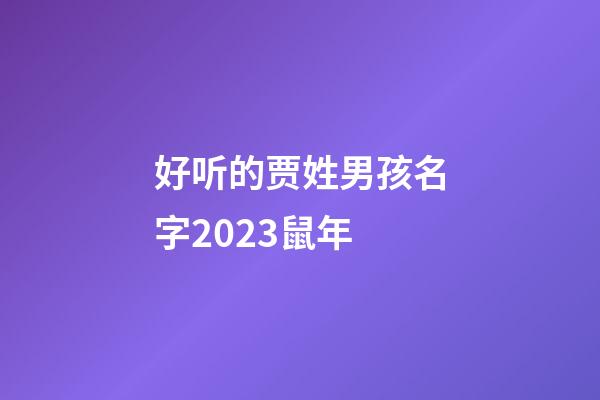 好听的贾姓男孩名字2023鼠年