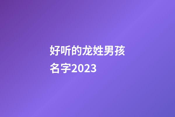 好听的龙姓男孩名字2023