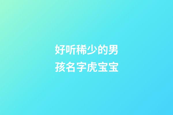 好听稀少的男孩名字虎宝宝(男孩大气有涵养的名字虎宝宝)-第1张-男孩起名-玄机派