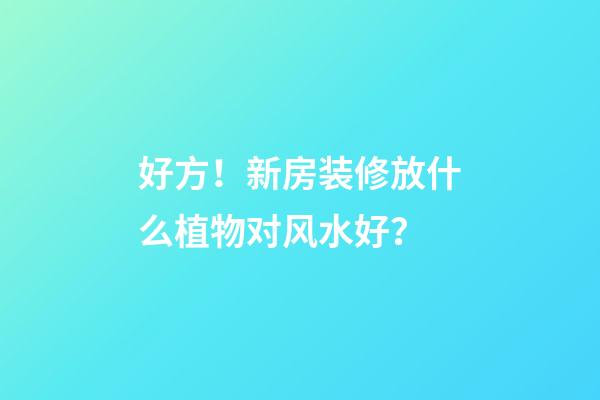好方！新房装修放什么植物对风水好？