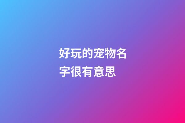 好玩的宠物名字很有意思