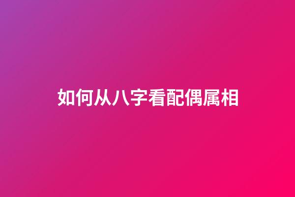 如何从八字看配偶属相