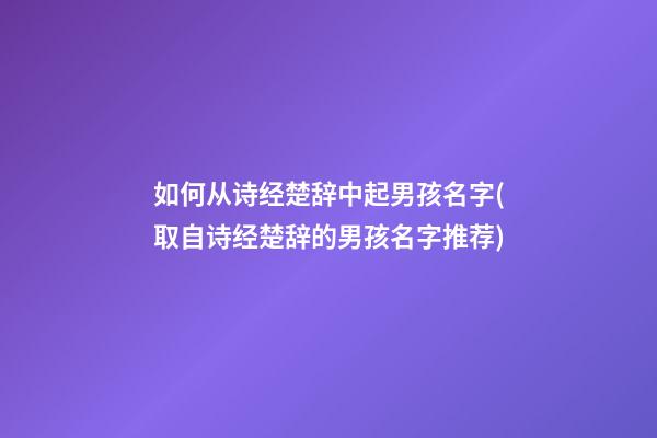 如何从诗经楚辞中起男孩名字(取自诗经楚辞的男孩名字推荐)