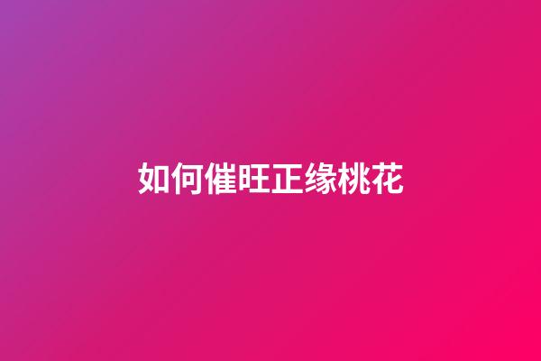 如何催旺正缘桃花