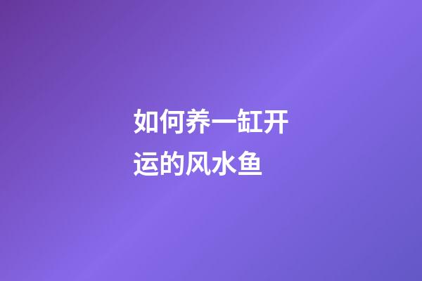 如何养一缸开运的风水鱼