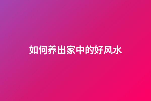 如何养出家中的好风水