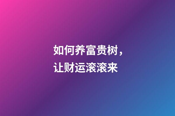 如何养富贵树，让财运滚滚来