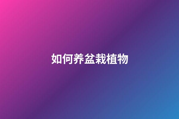 如何养盆栽植物