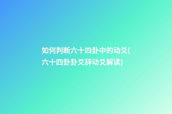 如何判断六十四卦中的动爻(六十四卦卦爻辞动爻解读)