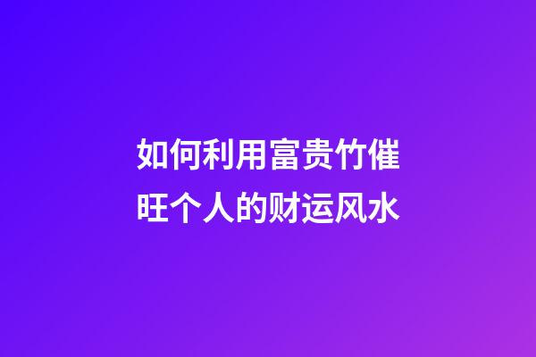 如何利用富贵竹催旺个人的财运风水