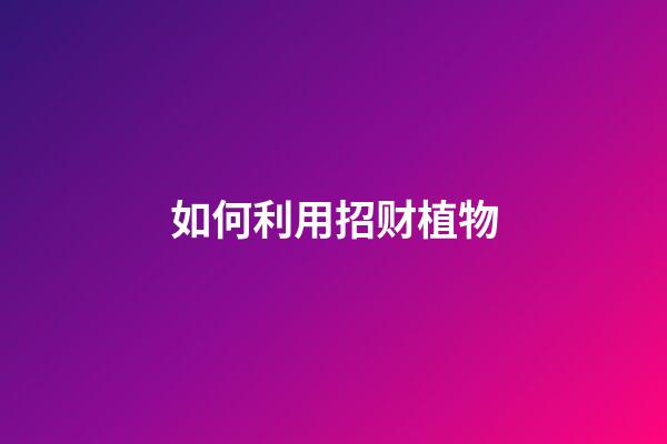如何利用招财植物
