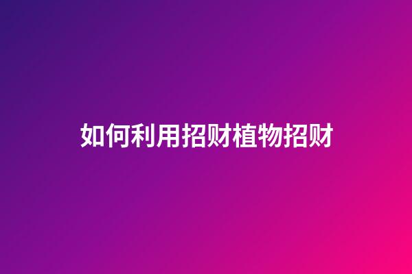 如何利用招财植物招财
