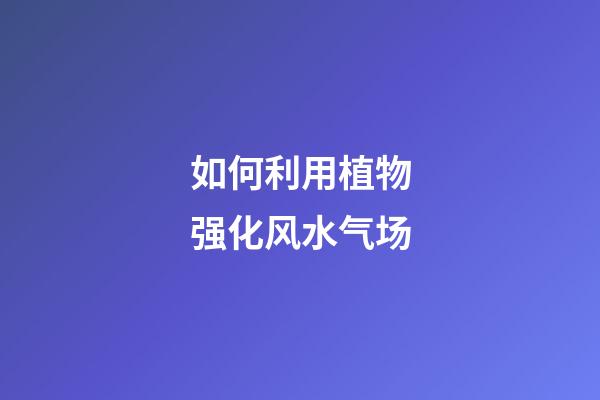 如何利用植物强化风水气场