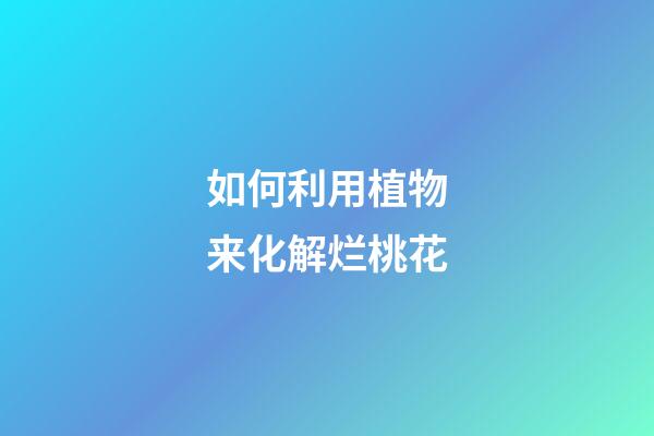 如何利用植物来化解烂桃花