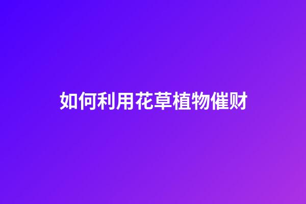 如何利用花草植物催财