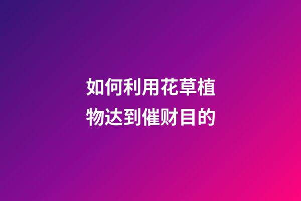 如何利用花草植物达到催财目的