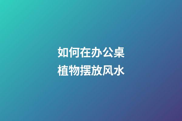 如何在办公桌植物摆放风水
