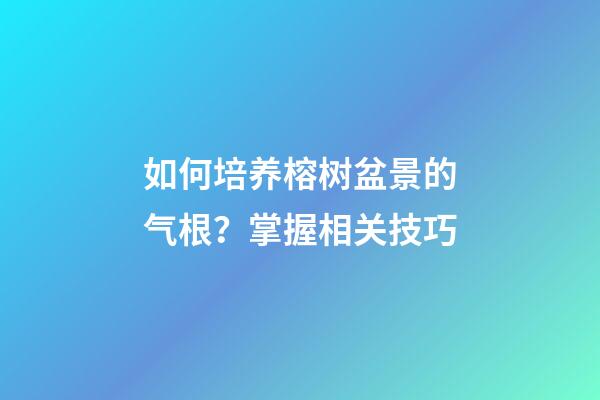 如何培养榕树盆景的气根？掌握相关技巧