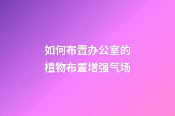 如何布置办公室的植物布置增强气场?