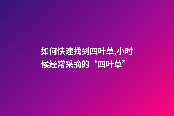 如何快速找到四叶草,小时候经常采摘的“四叶草”-第1张-观点-玄机派