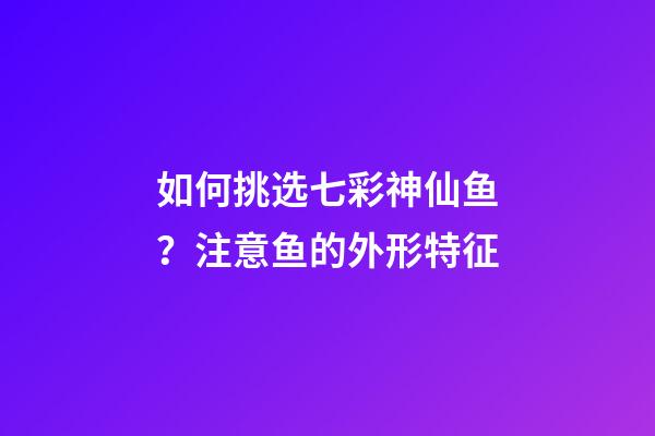 如何挑选七彩神仙鱼？注意鱼的外形特征