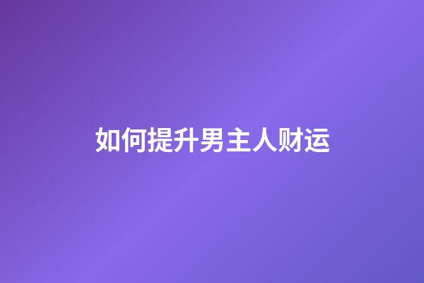 如何提升男主人财运