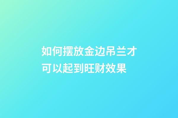 如何摆放金边吊兰才可以起到旺财效果