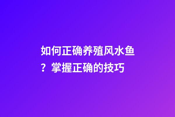 如何正确养殖风水鱼？掌握正确的技巧