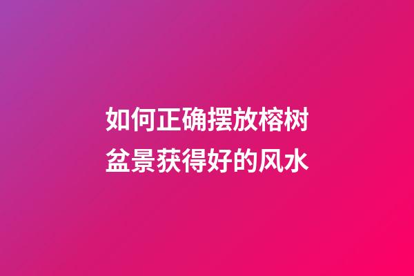如何正确摆放榕树盆景获得好的风水