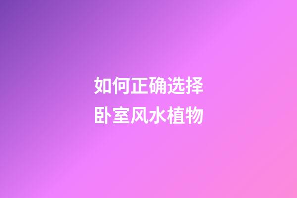如何正确选择卧室风水植物