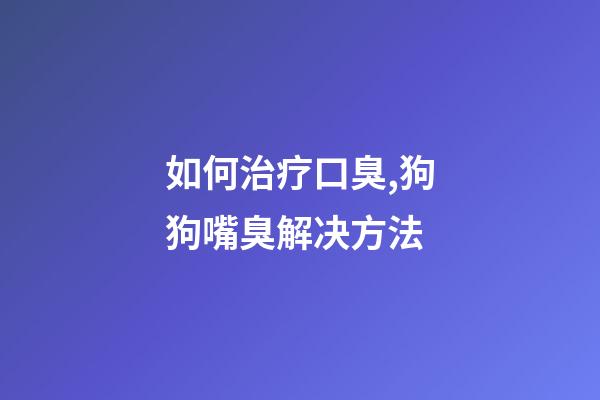 如何治疗口臭,狗狗嘴臭解决方法-第1张-观点-玄机派