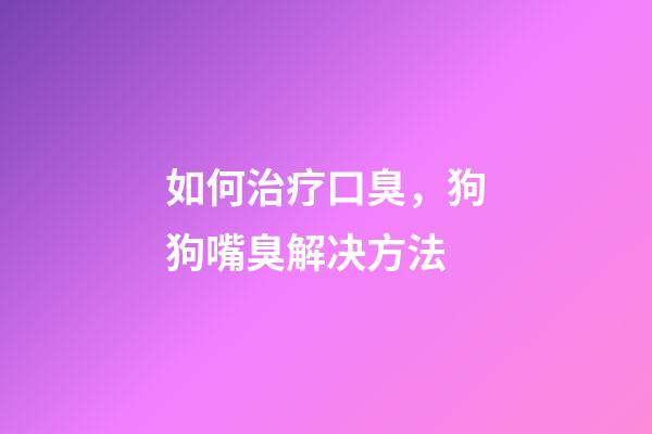 如何治疗口臭，狗狗嘴臭解决方法-第1张-观点-玄机派