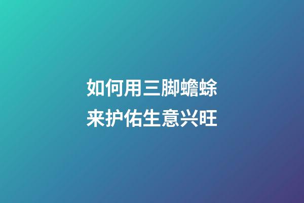 如何用三脚蟾蜍来护佑生意兴旺