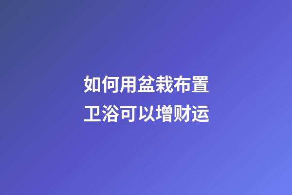 如何用盆栽布置卫浴可以增财运