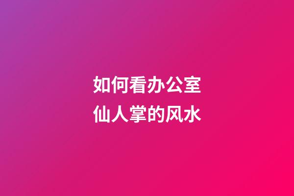 如何看办公室仙人掌的风水