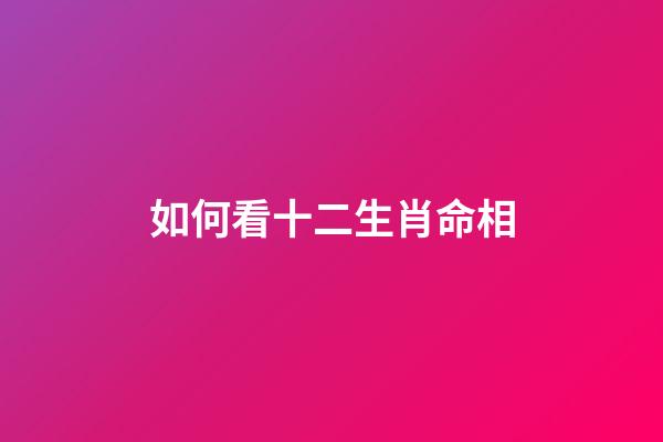 如何看十二生肖命相