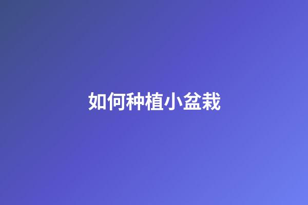 如何种植小盆栽