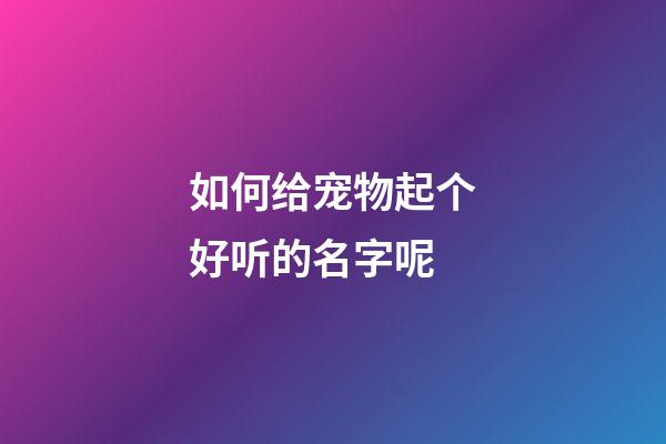 如何给宠物起个好听的名字呢
