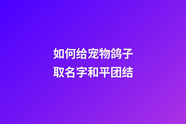 如何给宠物鸽子取名字和平团结