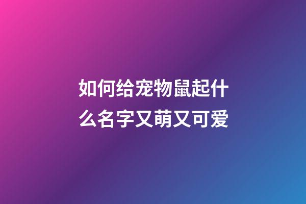如何给宠物鼠起什么名字又萌又可爱