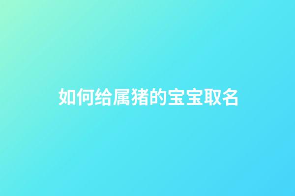 如何给属猪的宝宝取名