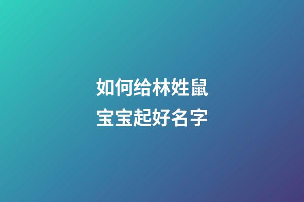 如何给林姓鼠宝宝起好名字